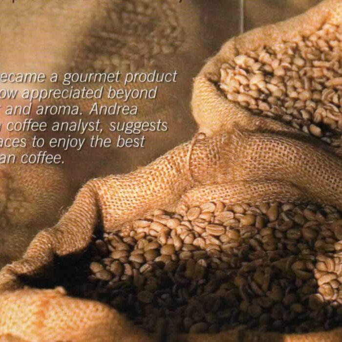 tintico tipo exportacion